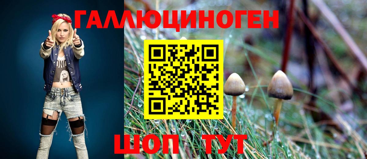 Псилоцибиновые грибы Psilocybine cubensis  Жигулёвск  Псилоцибиновые грибы Psilocybine cubensis 