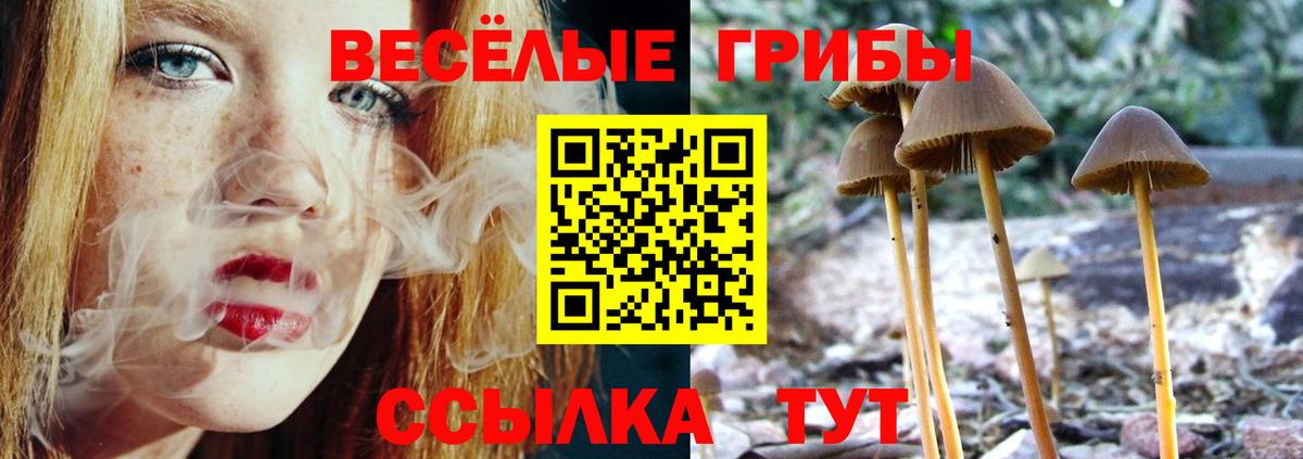 Псилоцибиновые грибы Magic Shrooms Жигулёвск